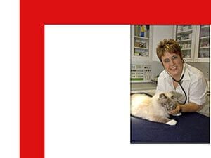 Bild zum Artikel: Familiär und kompetent: Kleintierpraxis – Ottobrunn Dr. med. vet. Katharina Mejstrik