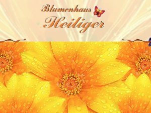 Bild zum Artikel: Traditionsreicher Blumenladen in Köln: Natur pur im Blumenhaus Heiliger