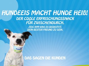 Bild zum Artikel: Hundeeis macht Hunde heiß: Frozen Joghurt für Hunde von Cold & Dog