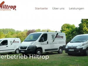 Bild zum Artikel: Raumgestaltung Daniel Hiltrop in Geldern: Einzigartige Malerarbeiten in Düsseldorf