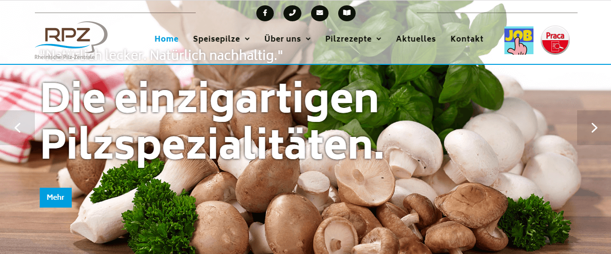 Image of Polnische Saisonarbeiter (w/m/d) gesucht: Rheinische Pilz-Zentrale GmbH in Geldern, Deutschland
